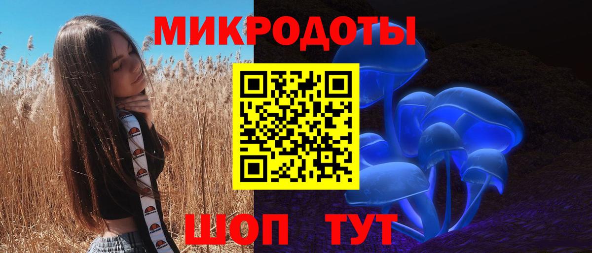 Галлюциногенные грибы Psilocybine cubensis Улан-Удэ